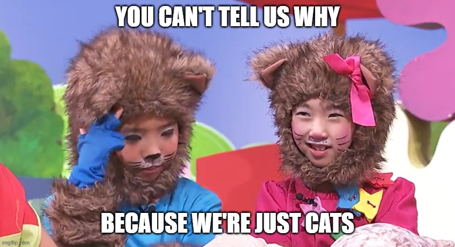 Yoyo and Yaya's no good expression when hearing why MediaCorp is tedious | YOU CAN'T TELL US WHY; BECAUSE WE'RE JUST CATS | image tagged in unsettled yoyo and yaya | made w/ Imgflip meme maker