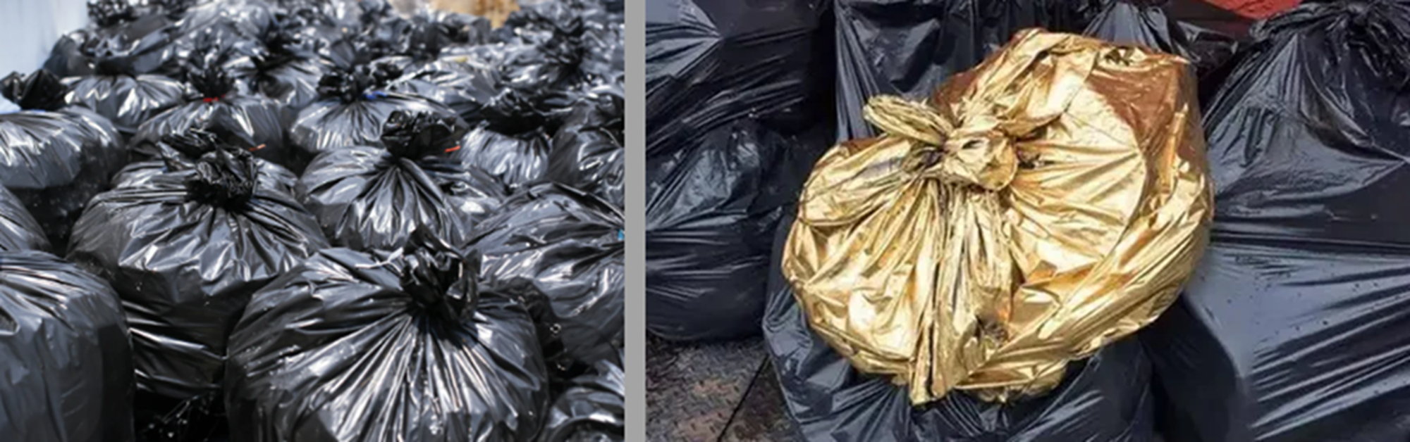 Trash but Gold Blank Meme Template