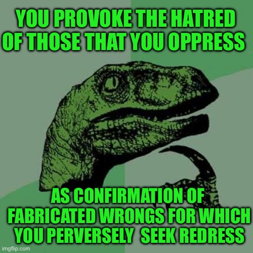 Philosoraptor | YOU PROVOKE THE HATRED OF THOSE THAT YOU OPPRESS; AS CONFIRMATION OF  FABRICATED WRONGS FOR WHICH YOU PERVERSELY  SEEK REDRESS | image tagged in memes,philosoraptor | made w/ Imgflip meme maker