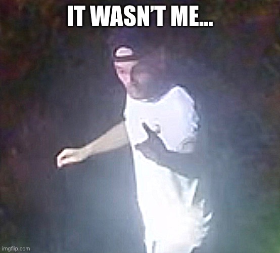 It wasn’t me | IT WASN’T ME… | image tagged in guilty | made w/ Imgflip meme maker