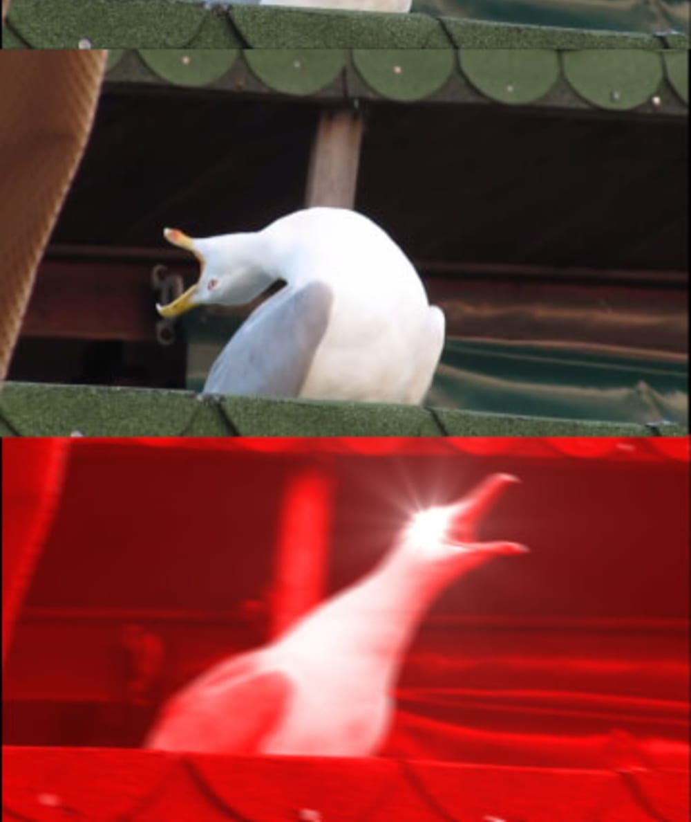 Break French Blank Meme Template
