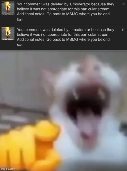 AUB is hilariously pathetic | image tagged in cat pointing and laughing | made w/ Imgflip meme maker