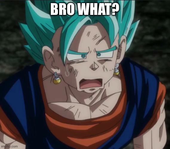 Confused Vegito | BRO WHAT? | image tagged in confused vegito | made w/ Imgflip meme maker