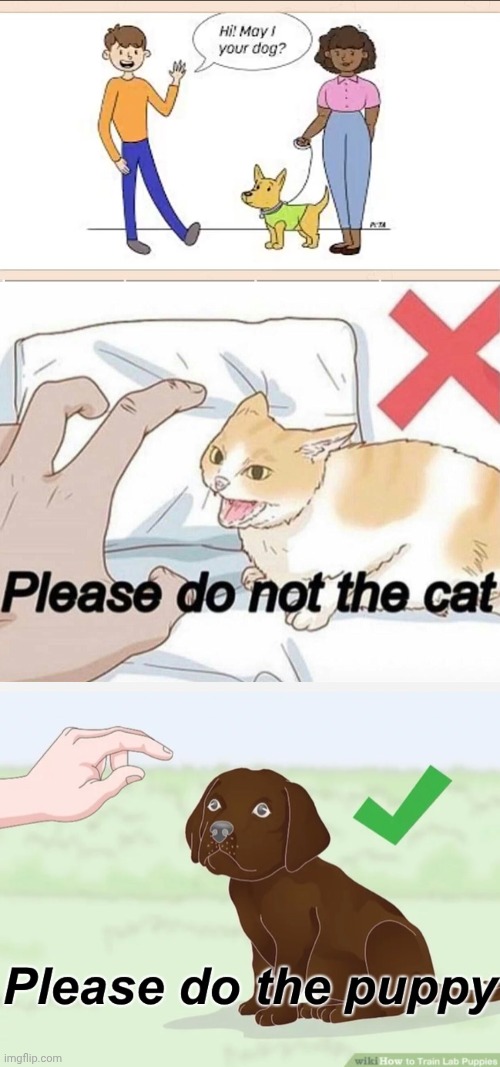 image tagged in please do not the cat,please do the puppy | made w/ Imgflip meme maker