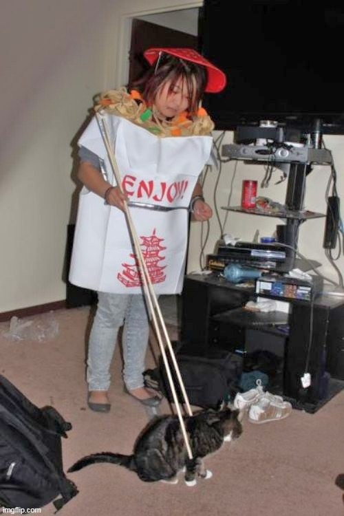 Memorial Day Costume  (not "early") | image tagged in chinky food meme | made w/ Imgflip meme maker