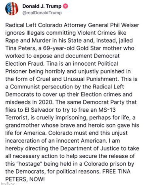 Thanks to POTUS Trump, this grandmother may receive the justice she deserves | image tagged in tina peters,colorado,radical,left,injustice,corruption | made w/ Imgflip meme maker