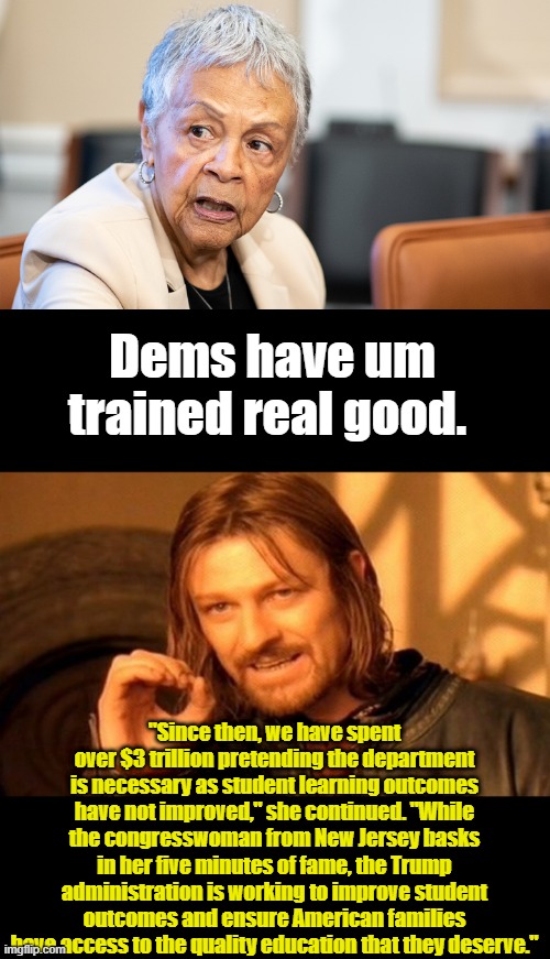 Dumbed down & brainwashed | Dems have um trained real good. "Since then, we have spent over $3 trillion pretending the department is necessary as student learning outcomes have not improved," she continued. "While the congresswoman from New Jersey basks in her five minutes of fame, the Trump administration is working to improve student outcomes and ensure American families have access to the quality education that they deserve." | image tagged in memes,one does not simply | made w/ Imgflip meme maker