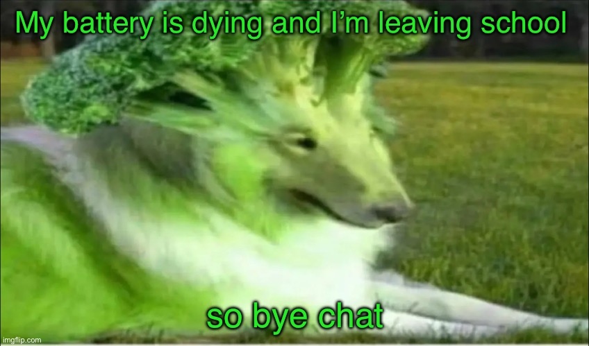 Broco dogo | My battery is dying and I’m leaving school; so bye chat | image tagged in broco dogo | made w/ Imgflip meme maker