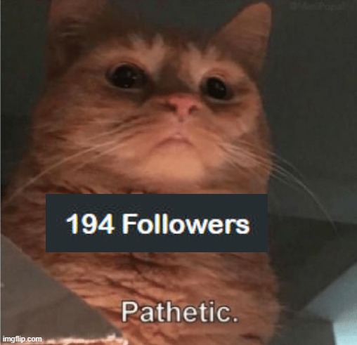 Pathetic Cat | image tagged in pathetic cat | made w/ Imgflip meme maker