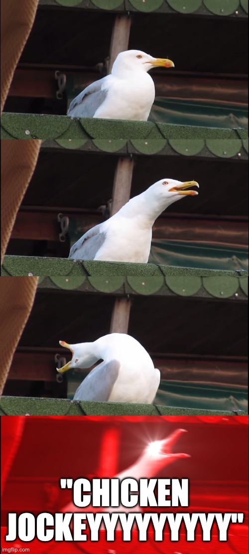 The whole cinema when Steve says "Chicken Jockey": | "CHICKEN JOCKEYYYYYYYYY" | image tagged in memes,inhaling seagull,funny,minecraft movie,relatable,chicken jockey | made w/ Imgflip meme maker