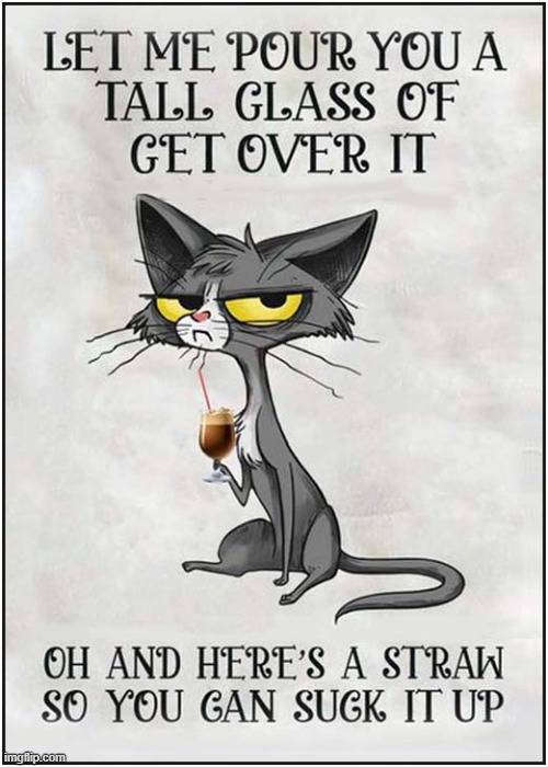 Having A Bad Day ? | image tagged in cats,having a bad day | made w/ Imgflip meme maker