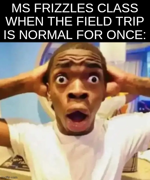 that's a moment in history | MS FRIZZLES CLASS WHEN THE FIELD TRIP IS NORMAL FOR ONCE: | image tagged in surprised black guy,memes,magic school bus | made w/ Imgflip meme maker