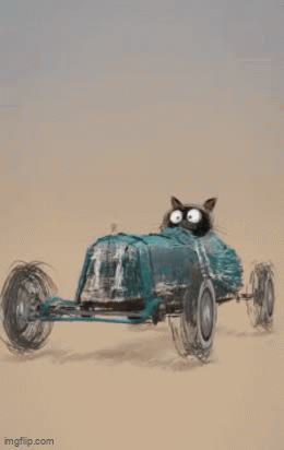 A Racing Cat - Imgflip