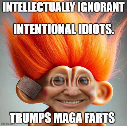 Intellectually Ignorant | INTELLECTUALLY IGNORANT; INTENTIONAL IDIOTS. TRUMPS MAGA FARTS | image tagged in owned orange | made w/ Imgflip meme maker