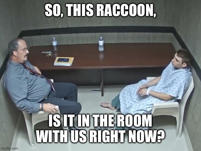 This girlfriend in the room | SO, THIS RACCOON, IS IT IN THE ROOM WITH US RIGHT NOW? | image tagged in this girlfriend in the room | made w/ Imgflip meme maker