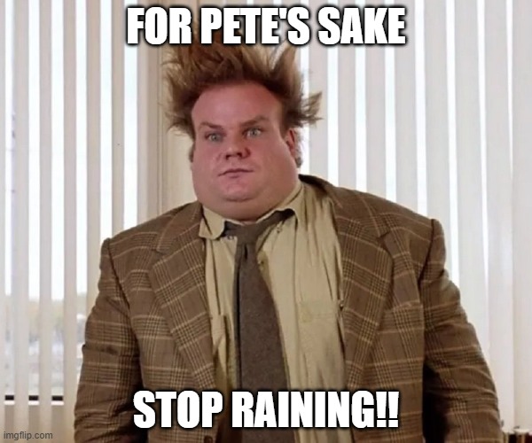 Chris Farley | FOR PETE'S SAKE; STOP RAINING!! | image tagged in chris farley | made w/ Imgflip meme maker
