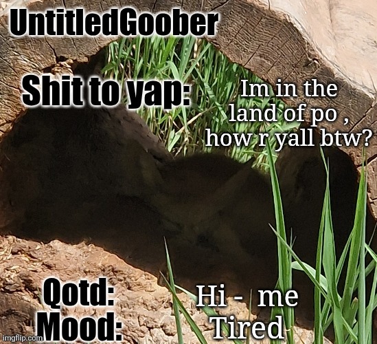 UntitledGoober's MSMG announcement temp | Im in the land of po , how r yall btw? Hi -  me; Tired | image tagged in untitledgoober's msmg announcement temp | made w/ Imgflip meme maker