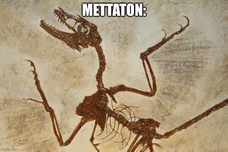 What N' Fossilization | METTATON: | image tagged in what n' fossilization | made w/ Imgflip meme maker