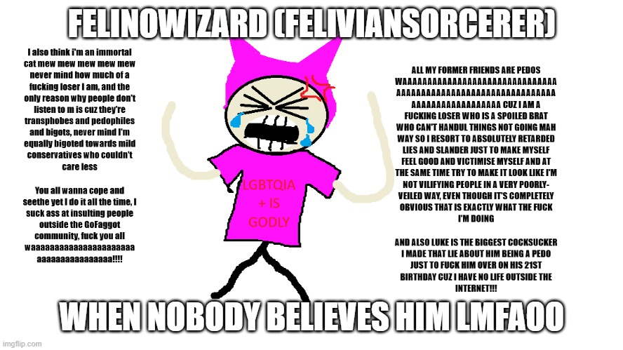FelinoWizard meme | FELINOWIZARD (FELIVIANSORCERER); WHEN NOBODY BELIEVES HIM LMFAOO | image tagged in felinowizard | made w/ Imgflip meme maker