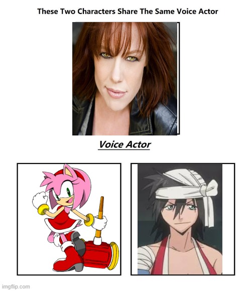 Cindy Robison | image tagged in same voice actor,bleach,sonic the hedgehog,sonic,sega,cindy robison | made w/ Imgflip meme maker