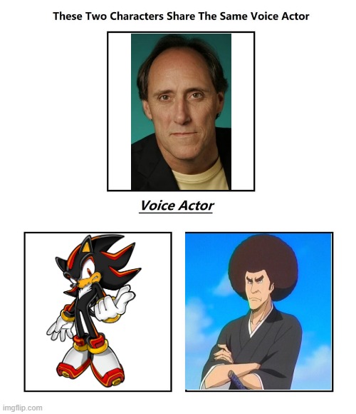 Kirk Thornton | image tagged in same voice actor,kirk thornton,sonic the hedgehog,sonic,bleach,sega | made w/ Imgflip meme maker