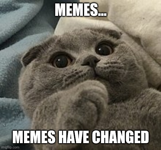 MEMES... MEMES HAVE CHANGED | image tagged in war has changed | made w/ Imgflip meme maker