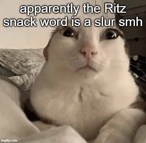 goober | apparently the Ritz snack word is a slur smh | image tagged in goober | made w/ Imgflip meme maker