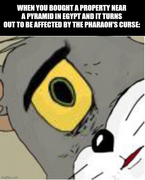 WHEN YOU BOUGHT A PROPERTY NEAR A PYRAMID IN EGYPT AND IT TURNS OUT TO BE AFFECTED BY THE PHARAOH'S CURSE: | image tagged in memes,cyclops,cat | made w/ Imgflip meme maker