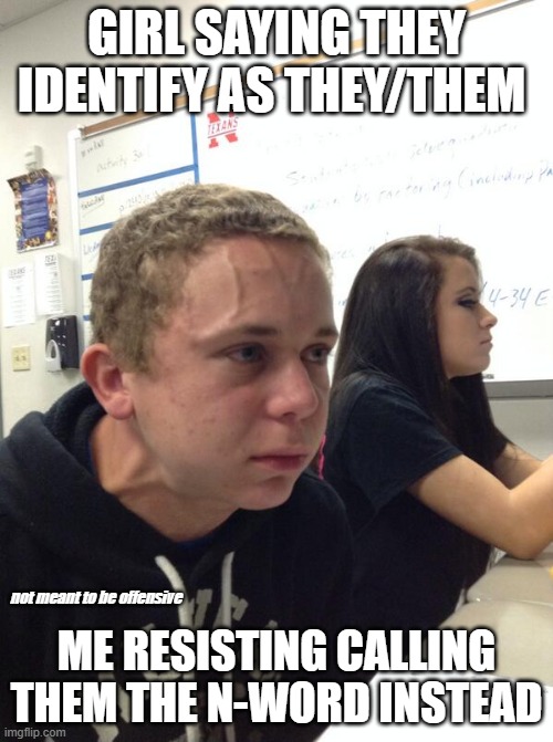 why | GIRL SAYING THEY IDENTIFY AS THEY/THEM; ME RESISTING CALLING THEM THE N-WORD INSTEAD; not meant to be offensive | image tagged in hold fart | made w/ Imgflip meme maker