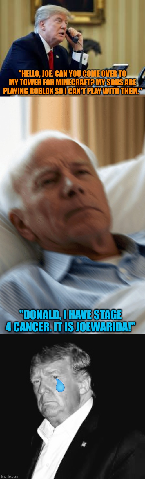 "HELLO, JOE. CAN YOU COME OVER TO MY TOWER FOR MINECRAFT? MY SONS ARE PLAYING ROBLOX SO I CAN'T PLAY WITH THEM."; "DONALD, I HAVE STAGE 4 CANCER. IT IS JOEWARIDA!" | image tagged in memes,biden,trump | made w/ Imgflip meme maker