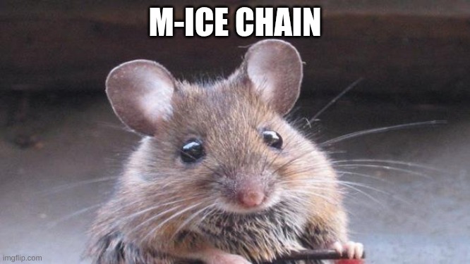 Cute but evil mouse | M-ICE CHAIN | image tagged in cute but evil mouse | made w/ Imgflip meme maker