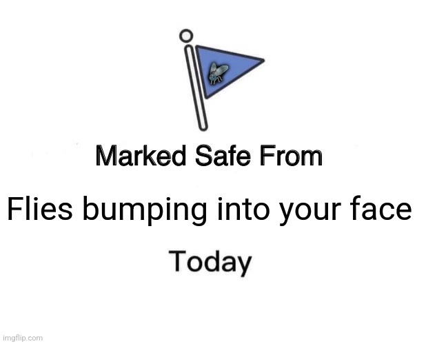 Marked Safe From | 🪰; Flies bumping into your face | image tagged in memes,flies,bump | made w/ Imgflip meme maker