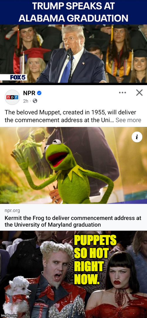 I've lost all respect for the U. of Alabama. | PUPPETS
SO HOT
RIGHT
NOW. | image tagged in memes,puppets,mugatu so hot right now | made w/ Imgflip meme maker