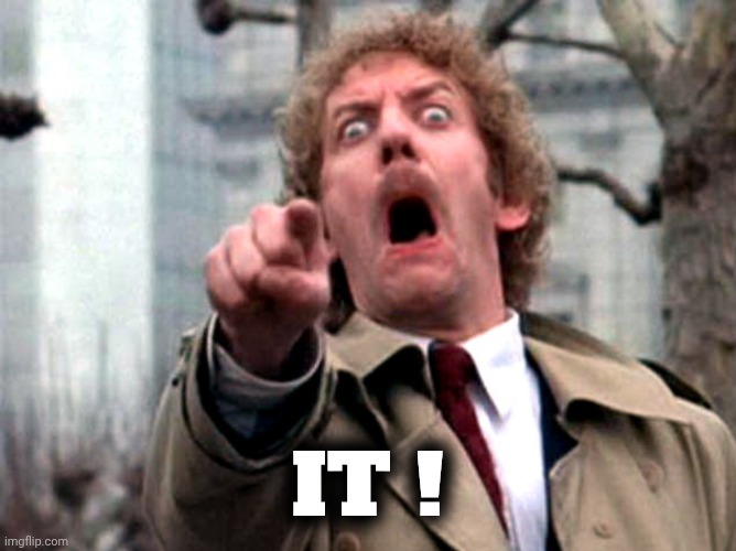 Donald Sutherland Invasion of the Body Snatchers | IT ! | image tagged in donald sutherland invasion of the body snatchers | made w/ Imgflip meme maker