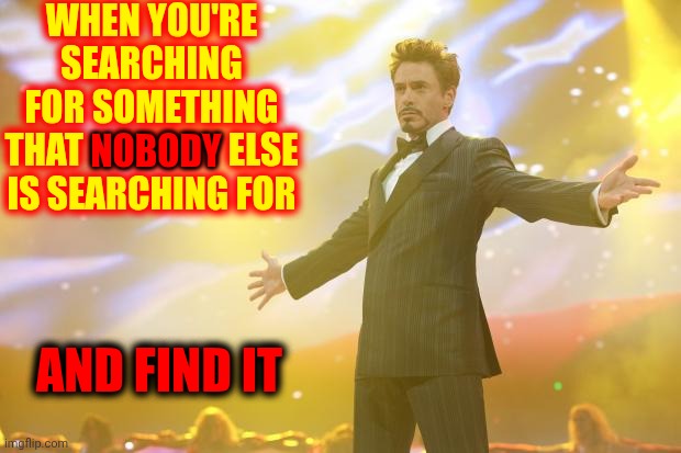 Tony Stark success | WHEN YOU'RE SEARCHING FOR SOMETHING THAT NOBODY ELSE IS SEARCHING FOR AND FIND IT NOBODY | image tagged in tony stark success | made w/ Imgflip meme maker