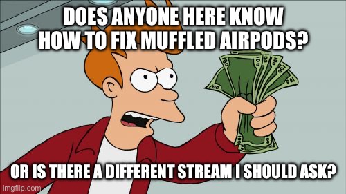 Serious question, I’m sorry | DOES ANYONE HERE KNOW HOW TO FIX MUFFLED AIRPODS? OR IS THERE A DIFFERENT STREAM I SHOULD ASK? | image tagged in memes,shut up and take my money fry | made w/ Imgflip meme maker