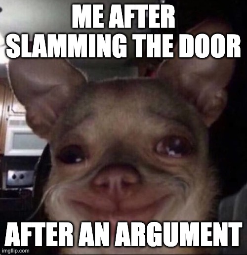 Can you relate? | ME AFTER SLAMMING THE DOOR; AFTER AN ARGUMENT | image tagged in crying dog,dogs,animals,memes,relatable,fun | made w/ Imgflip meme maker