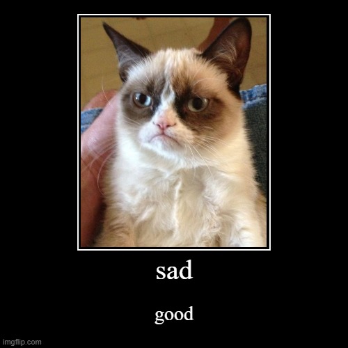 an inspirational tweet | sad | good | image tagged in funny,demotivationals | made w/ Imgflip demotivational maker