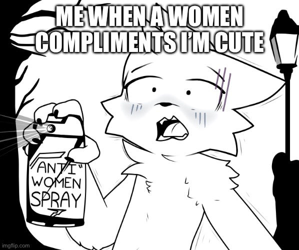 BACK WOMEN BACK | ME WHEN A WOMEN COMPLIMENTS I’M CUTE | image tagged in boykisser anti-women spray | made w/ Imgflip meme maker