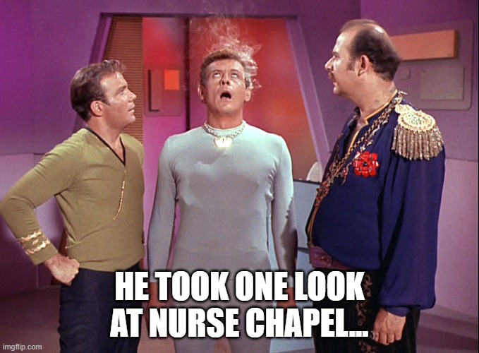 Nurse Chapel is Hot | HE TOOK ONE LOOK AT NURSE CHAPEL... | image tagged in star trek i mudd | made w/ Imgflip meme maker
