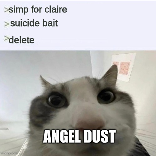 just poking fun, I don't want it to resurface | simp for claire; suicide bait; delete; ANGEL DUST | image tagged in cat looks inside | made w/ Imgflip meme maker