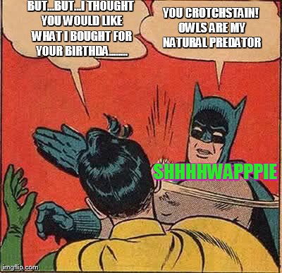 Batman Slapping Robin Meme | BUT...BUT...I THOUGHT YOU WOULD LIKE WHAT I BOUGHT FOR YOUR BIRTHDA........ YOU CROTCHSTAIN! OWLS ARE MY NATURAL PREDATOR SHHHHWAPPPIE | image tagged in memes,batman slapping robin | made w/ Imgflip meme maker