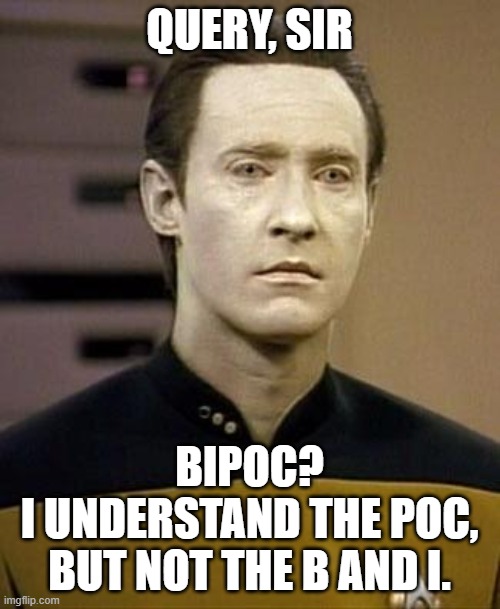 Data | QUERY, SIR BIPOC?
I UNDERSTAND THE POC, BUT NOT THE B AND I. | image tagged in data | made w/ Imgflip meme maker