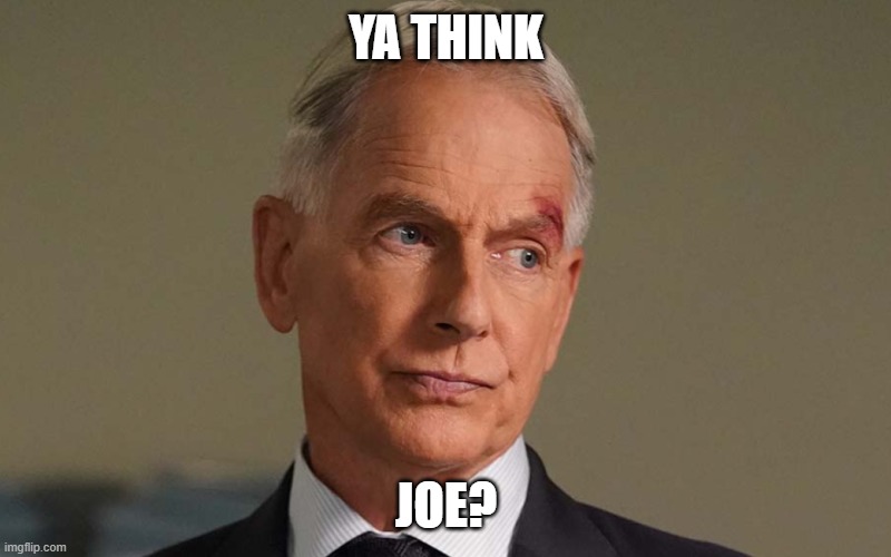NCIS gibbs | YA THINK JOE? | image tagged in ncis gibbs | made w/ Imgflip meme maker