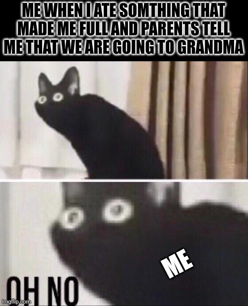 Prototypeйцукенгшщзхфывапролджэячсмитьбю | ME WHEN I ATE SOMTHING THAT MADE ME FULL AND PARENTS TELL ME THAT WE ARE GOING TO GRANDMA; ME | image tagged in oh no cat,grandma | made w/ Imgflip meme maker