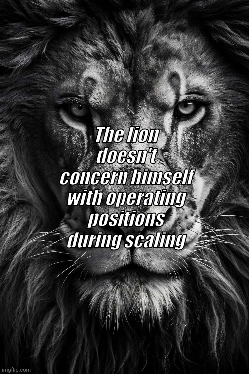 Dental meme X lion | The lion doesn't concern himself with operating positions during scaling | image tagged in the lion king | made w/ Imgflip meme maker