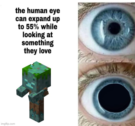 GUYS HALP WHY ARE THEY SO FREAKING ADORABLE | image tagged in human eye,memes,minecraft,drowned,mobs,zombie | made w/ Imgflip meme maker