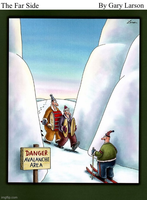 The Far Side; By Gary Larson | image tagged in comics,the far side,danger,idiots,avalanche | made w/ Imgflip meme maker