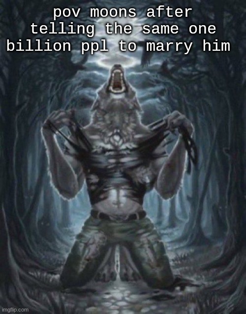 pov moons after telling the same one billion ppl to marry him | image tagged in alpha wolf | made w/ Imgflip meme maker