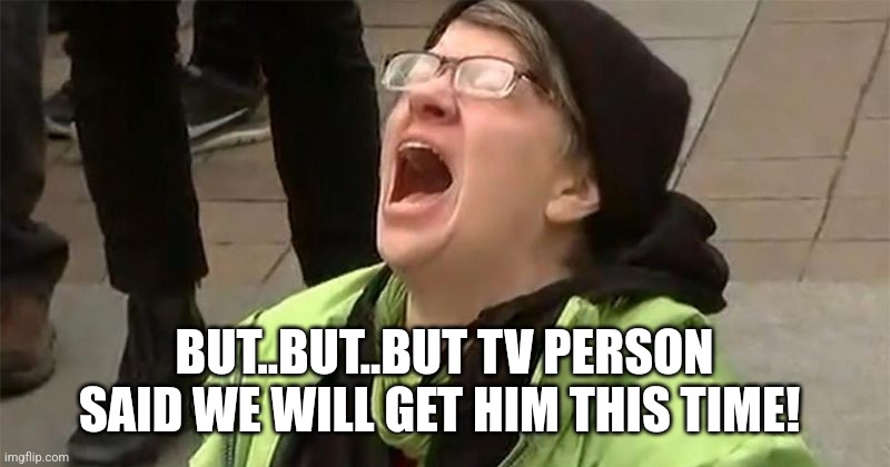 crying liberal | BUT..BUT..BUT TV PERSON SAID WE WILL GET HIM THIS TIME! | image tagged in crying liberal | made w/ Imgflip meme maker